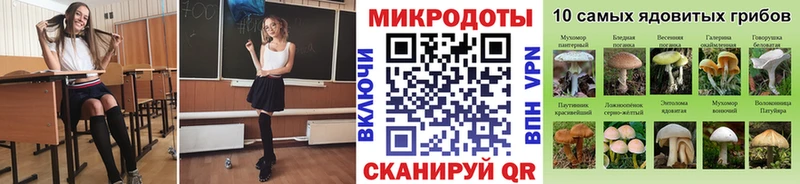 хочу наркоту  Оханск  Псилоцибиновые грибы Magic Shrooms 